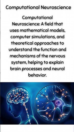 Computational Neuroscience