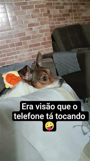 26 de janeiro de 2026