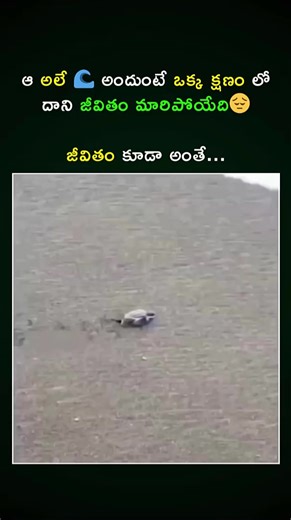 1.1K views · 12 reactions | Announcing New CMA Inter & Final Batches for June 2025 Exams | MASTERMINDS For CA | Facebook