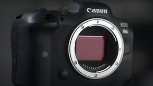A Look at the Canon EOS R6 Mirrorless Camera