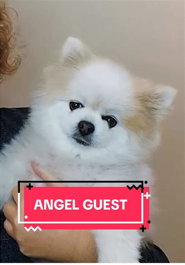 Surprise Guest Joins the Pod for Special Episode