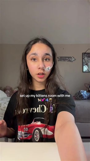 Setting Up My Kitten's Room: Haul & Cozy Vibes