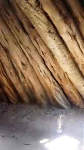 Where my dad and his sister’s grew up. This is inside of a traditional Navajo male hogan. My nalí cut, hauled, and carved each log. #home #navajo #Yoga #earth | Haley Laughter