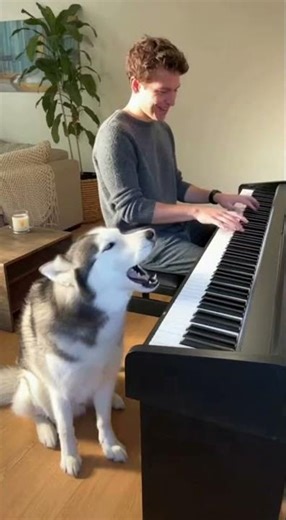 Who needs auto-tune when you have a woofer? 🐕🎶