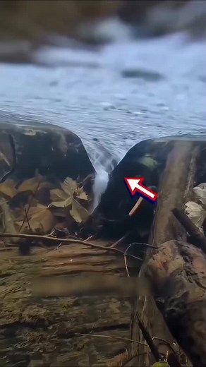 What If You Enter a Whirlpool? 🌊 Whirlpools may look simple on the surface — but the force behind them is far more powerful than most people realize. A small twig or even a young fish can’t escape once it’s caught in the spinning pull. In swimming pools, tiny whirlpools form safely near drainage outlets or even by moving your hand in the right motion. But giant ocean whirlpools are a completely different story. These massive forces can drag anything — even humans — into the deep, dark, and unkn