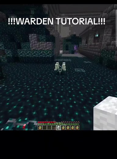 Ultimate Guide to Defeating the Warden in Minecraft