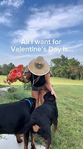 Dogs Flowers = A Perfect Day💝☺️ #dogstagram #puppylove #valentinesday #valentines #johnnysseeds | Dozer and Lilah