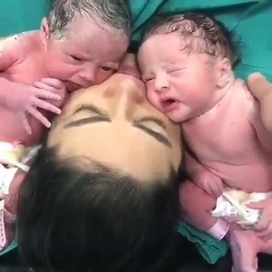 1M views · 6.5K reactions | ⁦♥️⁩⁦♥️⁩ | Pets Club | Facebook