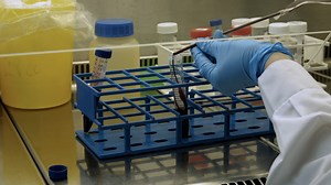 Author Spotlight: Dendritic Cells Maturation Using Sialidases-Based Enzymatic Treatment of the Cell Surface 