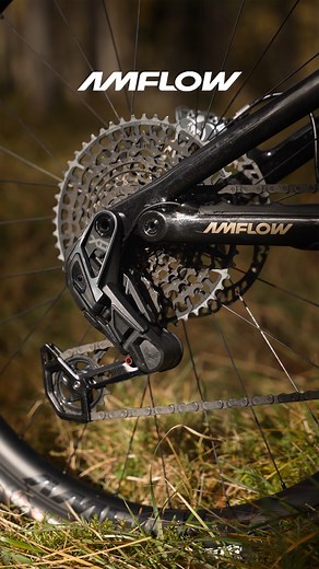 Beauty isn’t just what you see - it’s how it rides. Every angle of Amflow reflects a choice: light frame, clean lines, smart power, and a design built around real mountain performance. Cuz good looks matter. But beautiful engineering matters more. #AmflowBikes #MountainBike #MTBLife #MTBLover #eMTB | Amflow Bikes