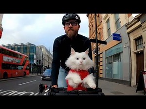 Cat and her hooman explore london by bike! Travis and Sigrid | The Koala