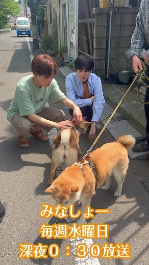 #みなと商事コインランドリー 2 OPメイキング動画公開🍉 わんちゃんと戯れる、湊(#草川拓弥)と シン(#西垣匠)をお届け🧺🫧 今年は1匹新しいお仲間が増えました🐶 1話のOPに使われてます🎐 ぜひもう一度チェックしてみてくださいね🫧 明日、深夜24:30から第5話放送🙌 お楽しみにー‼️