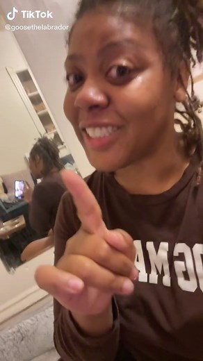 Goose the Labrador on TikTok