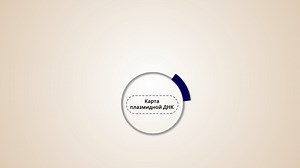 Plasmid DNA Infographic Animation