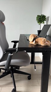 Create the ultimate home office setup by combining your favorite table top with Loop Alloy's table lifter. Effortlessly integrate style and functionality, adjusting your workspace at the touch of a button. Elevate your work-from-home experience with a dynamic, flexible workspace that adapts to your needs. Discover how Loop Alloy can transform your home office into a modern, efficient, and stylish environment! You can send us a message if you are interested or if you have any more questions. You