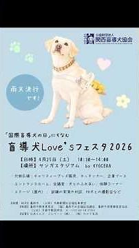 「盲導犬の日」にちなんだイベントの報告と動画配信のお知らせ #盲導犬 ＃盲導犬の日 ＃盲導犬Love'sフェスタ