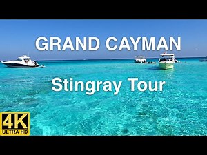 Stingray Tour, Grand Cayman, Discover the islands' best snorkeling tour, Coral Garden, Stingray City