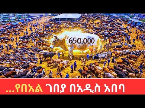 Addis Ababa Madness | The Huge Ethiopian Eastern Holiday Tour