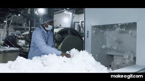 mgiri mngmnt on Make a GIF