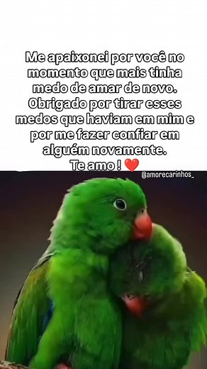 Él e Vevé / Amor e Carinhos on Instagram: "Você me fez acreditar que o amor existe. Te amo 💖 🌱🚿 Gostou do conteúdo?? Curta 👍🏽 Comente 📝 Compartilhe 🔁 Marca ♥️ Envia para alguém ↗️ Segue a página. Conteúdos diários Junte-se aos nossos milhares de seguidores apaixonados 💕💕🌱🚿 #amor #pensamento #noivos #paixão #carinho #gratidão #relacionamento #namoro #noivado #saudade #teamo"