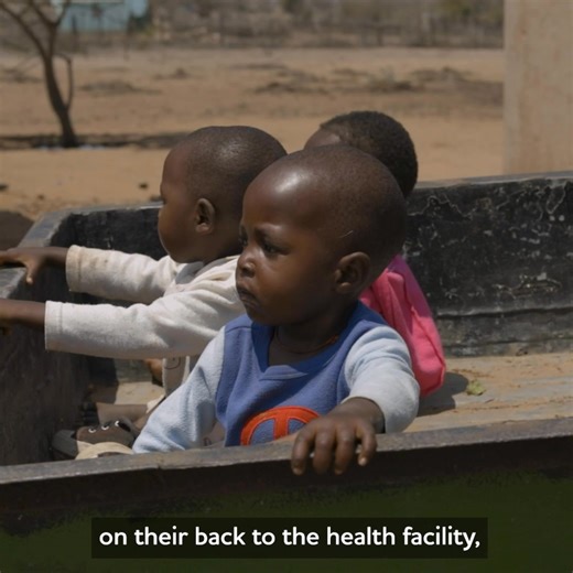 14K views · 480 reactions | In Zimbabwe, women and their donkeys share a special bond. Ahead of International Women's Day, hear from our partner Women & Land in Zimbabwe about why this relationship is so vital, and how we're collaborating to improve the welfare of donkeys and the lives of the women who care for them.  | The Donkey Sanctuary | Facebook