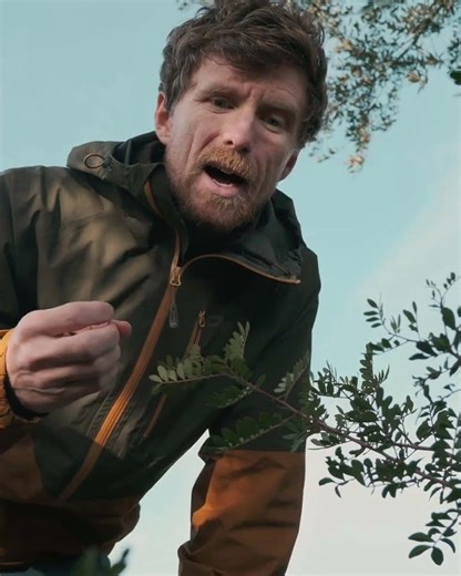 The best gardens are those that have evolved over time #gardening