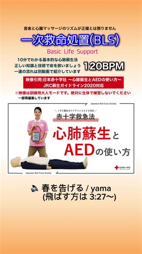 ※生体で練習しないでください #心臓マッサージ #心肺蘇生 #救命 #救急 #救助 #消防 #人工呼吸 #120bpm #AED #yama #春を告げる #一次救命処置 #fypシ #fyp #日本赤十字社 #BLS #basiclifesupport #firstaider #redcross #CPR #CPA #119 #japanredcrosssociety