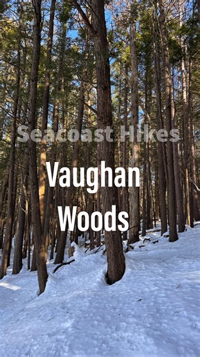 Seacoast Hikes & Nature Walks on Instagram: "Vaughan Woods State Park Loop - Hamilton House Trail to River Run Trail to Bridle Path Loop 📍 40 Vaughans Ln, South Berwick, ME - 2.3 mile loop - Moderate Difficulty - Fee charged in main parking area (Adult: $3 resident $4 non $1 senior $1 child 5-12) but free to park at Historic Hamilton House and enter that way. - Dog Friendly (leashed only) - Stroller- River Run Trail is NOT stroller friendly. Bridle path is for off road strollers. - River, Fores