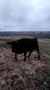 They are growing | Kevin Askin