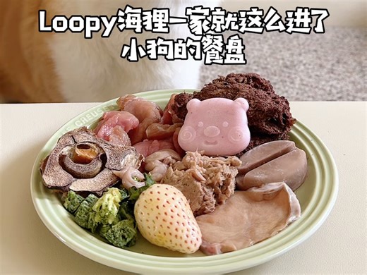 Loopy海狸一家就这么进了小狗的餐盘🛎️