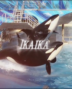 Ikaika's Journey: The Price of Freedom