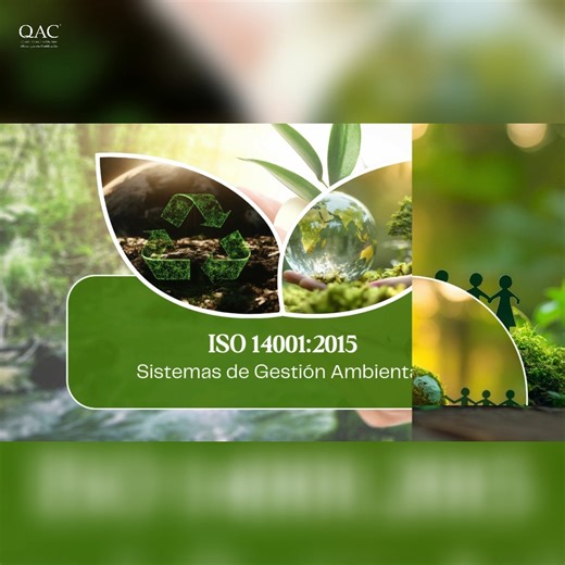 11 reactions | La norma ISO 14001:2015, enfocada en  Sistemas de...