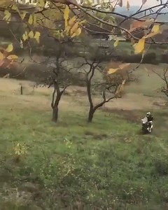 3.5K views · 67 reactions | Just keep the thing pinned and send it | Moto GC | Facebook