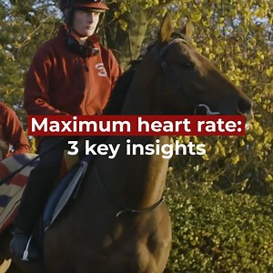 3 key insights you should know about maximal heart rate in racehorses. Train - Measure - Analyse - Win  | Arioneo | Facebook