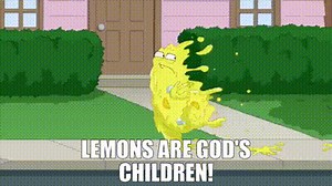 5ed1b11b-a409-4db3-a5a3-3989d097a156