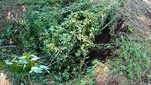 12K views · 176 reactions | Fixing a busted Pond Pipe! #Farming #farmlife #pond | Stoney Ridge Farmer | Facebook