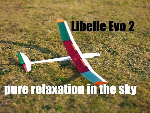Libelle Evo 2 vom himmlichen Höllein pure relaxation in the sky