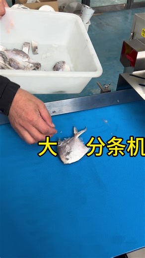 Efficient Meat Cutter and Fish Killing Machines