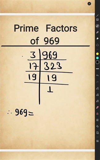 Factors of 969
