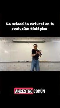 Natural selection in biological evolution