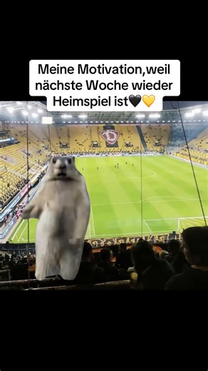 Heimspiel Motivation für Dynamo Dresden Fans