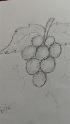 how to draw grapes step by step - very easy 🍇 Grapes Drawing - ritik master