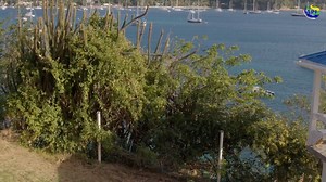 25K views · 202 reactions | Many Vincentians are turning properties into cozy airbnb's or small hotels. This type of accomodation is becoming increasingly popular across the Caribbean and on Bequia, providing such tranquil spaces is a plus for any tourism product. Meet the folks of Villa Victoria. #API #tourism #Bequia | API - The Agency For Public Information : St. Vincent and the Grenadines | Facebook