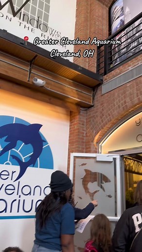 Explore the Greater Cleveland Aquarium: Fun for All Ages!