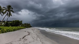CSX in service recovery mode following Hurricane Idalia