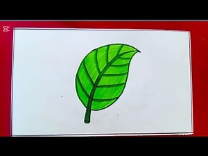 How to Draw a Leaf 🍃 | Easy Step by Step Drawing for Beginners