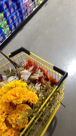 1/5/25 There are still old pennies out there. I went in for pop and came out with a buggy full of fall floral. #dollargeneralfinds #dollargeneral #dollargeneralpennies #dollargeneralpennyshopping #foryoupage