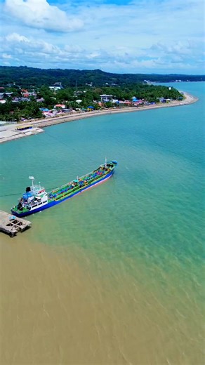 The Guimbal Dike is a series of shore protection and river control projects in Guimbal, Iloilo, that also features a scenic walkway known as the Guimbal Dike Esplanade. The dike projects aim to protect the area from storm surges, coastal erosion, and flooding. #ridetavlog #droneview #GuimbalIloilo #AIOverview #goodvibesonly | Ride Ta Vlog