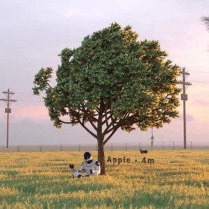 4.9M views · 19K reactions | What is the world's tallest tree? This animation showcases some of the world's biggest  | UNILAD Adventure | Facebook