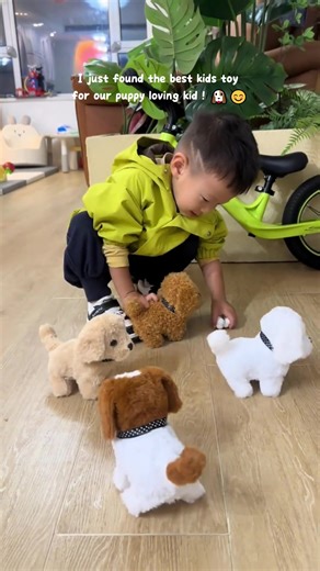 Is this a real dog? No, it's a smart toy dog! It moves, barks, and wags its tail. The perfect sensory toy for toddlers. Get this amazing toy today! #ToyDog #InteractiveToys #KidsToy #RobotPet #TikTokToys